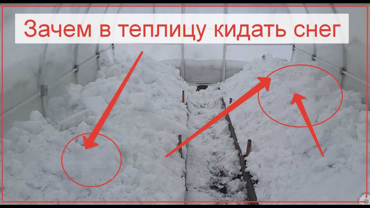 Нужно ли закидывать снег в теплицу