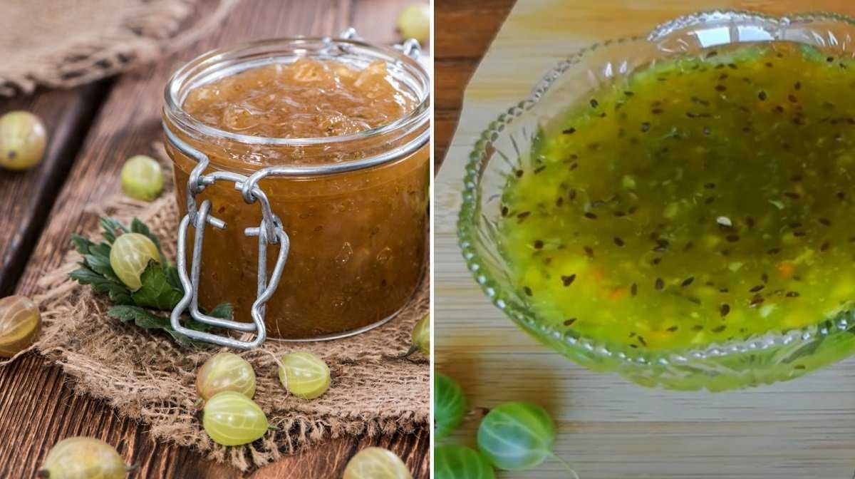 Варенье из крыжовника. 7 самых вкусных рецептов варенья из крыжовника