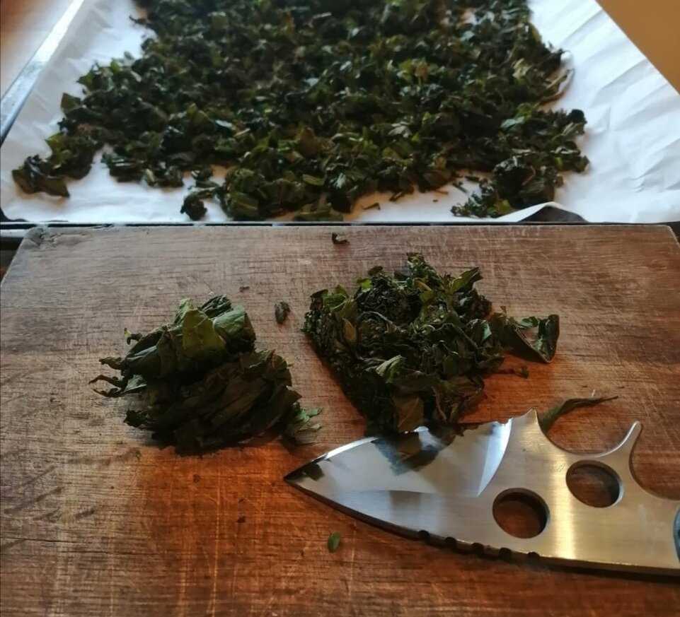 Как приготовить чай из листьев