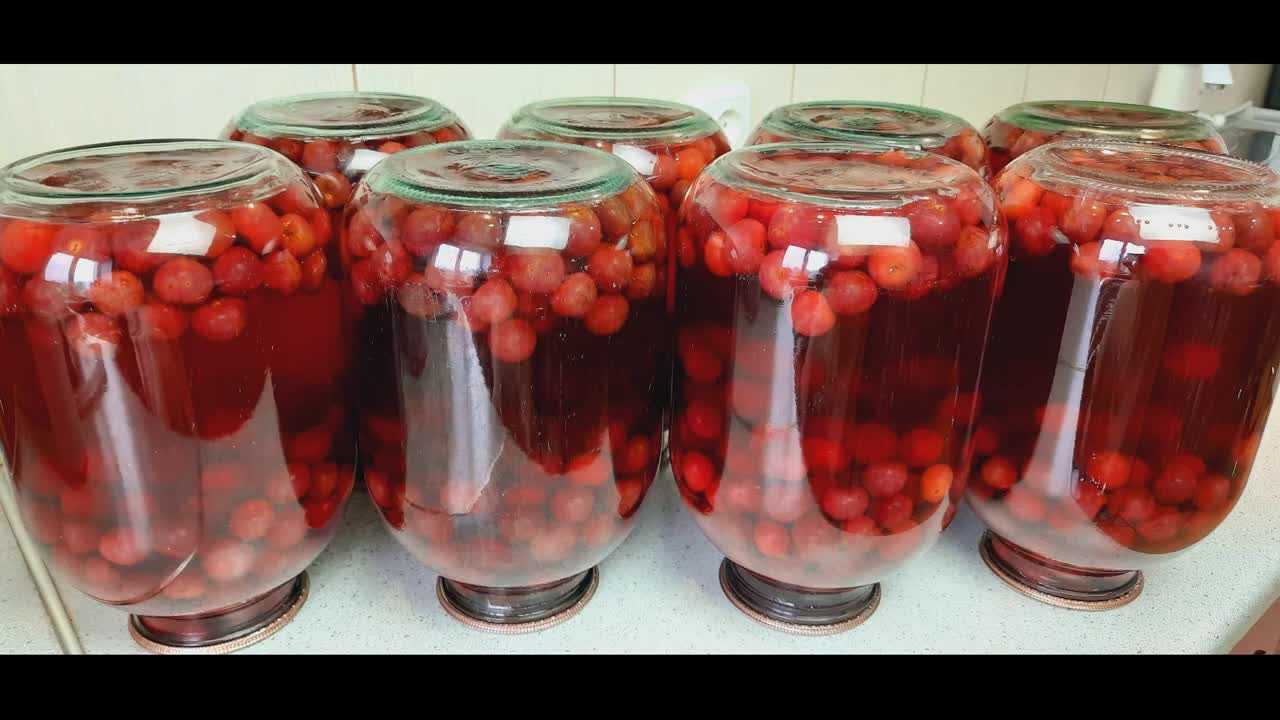 Компот из вишни на зиму: 15 разных, отборных рецептов