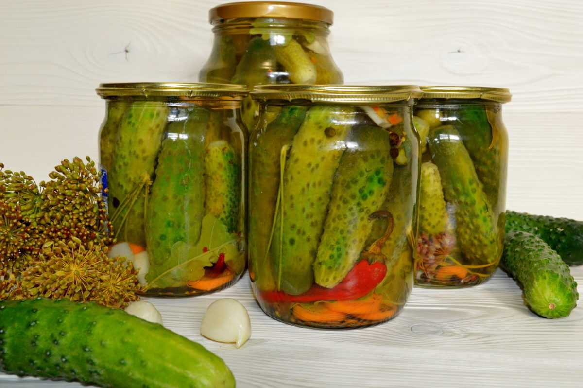 Самые вкусные рецепты маринованных огурцов по-польски на зиму резаных и дольками