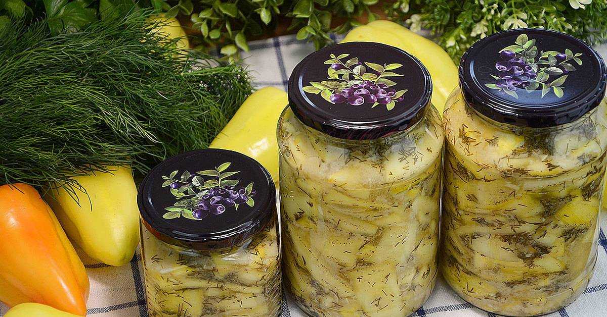 Квашеные и соленые кабачки рецепты. квашеные кабачки на зиму - рецепт с пошаговыми фото приготовления в банках без уксуса и без стерилизации