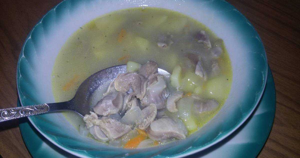 Суп из куриных сердечек: как приготовить вкусно