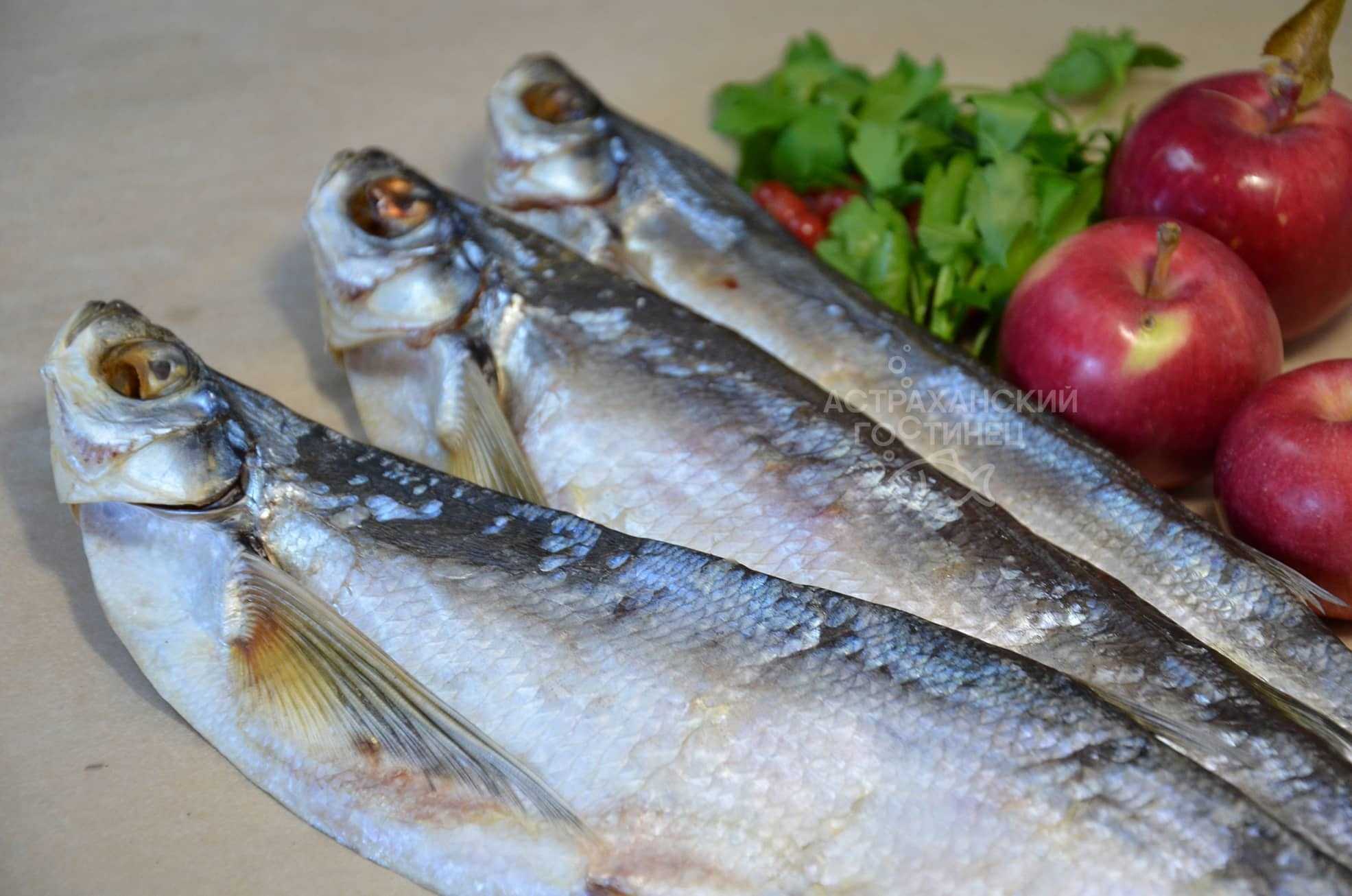 Как солить рыбу для сушки в домашних условиях: вкусные рецепты