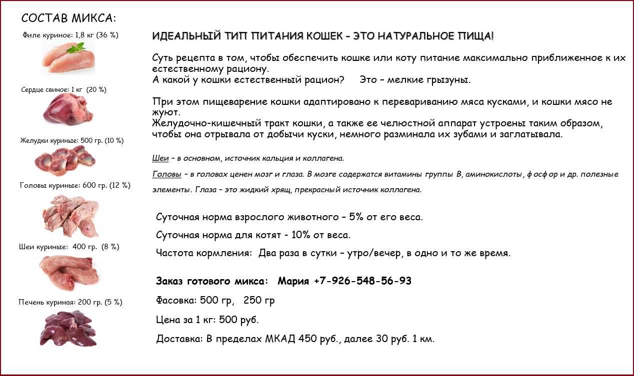 Куриная печень: секреты приготовления, рецепты