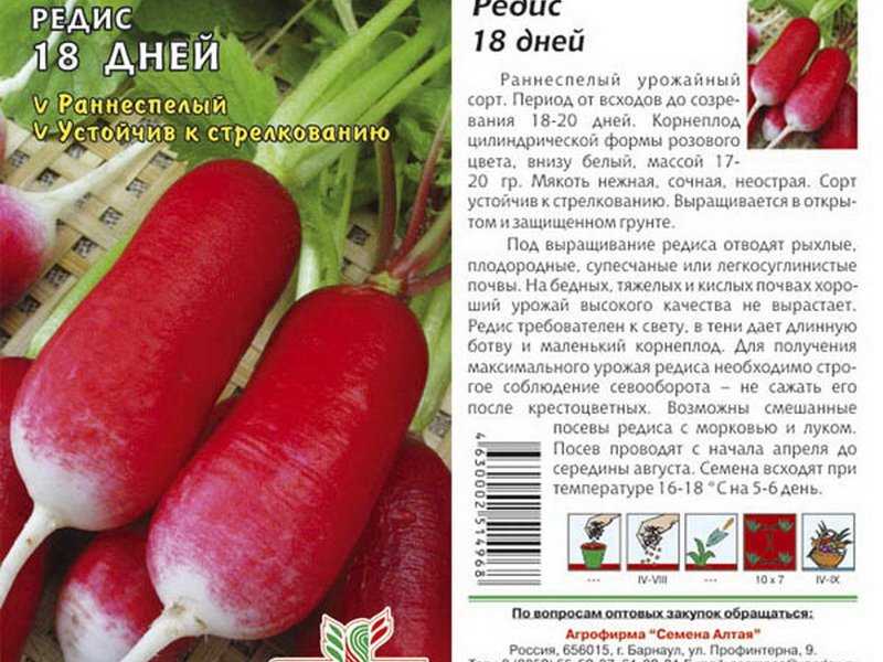 Лучшие сорта редиса для теплицы из поликарбоната: ранние, урожайные, скороспелые