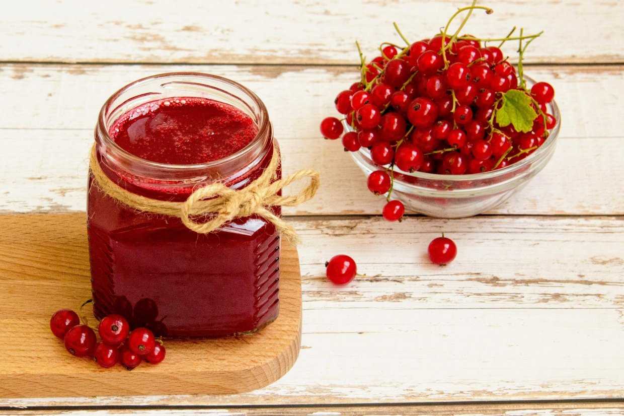 Компот из черной смородины на зиму: топ-8 рецептов, кулинарные советы