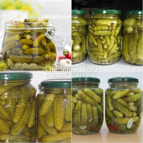 Маринование хрустящих корнишонов на зиму своими руками