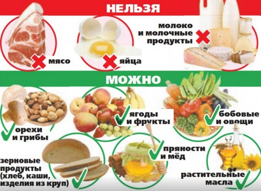 Блины на воде: 9 рецептов вкусных блинчиков с яйцами и без них
