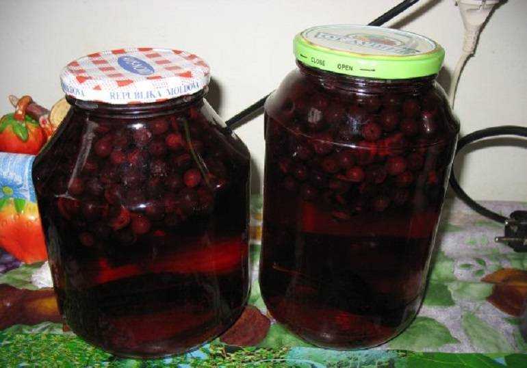 Рецепт компота из черноплодной рябины, яблок и слив