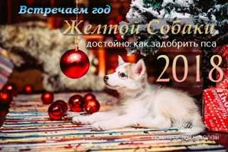 2018 год какого животного по гороскопу: в чём встречать и что готовить на стол