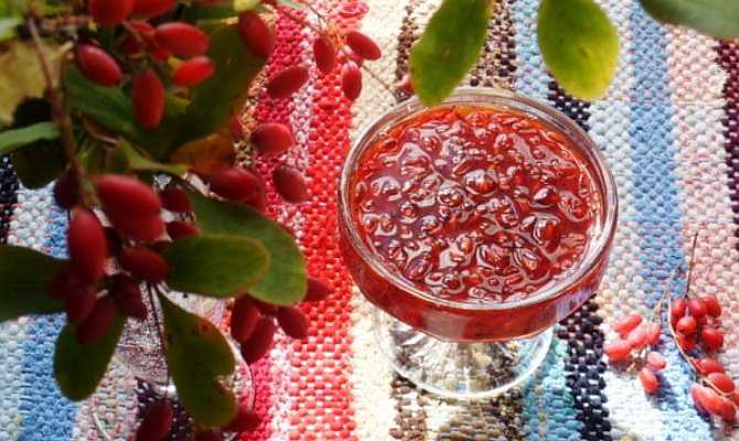 Заготовки из барбариса на зиму. вкусные блюда из барбариса — когда собирать и как сушить ягоды, что из них можно приготовить что можно приготовить из плодов барбариса