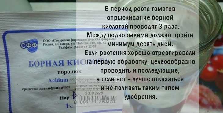 Суперподкормка для овощей: сыворотка + борная кислота