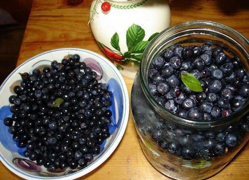 Варианты заготовок из черники на зиму