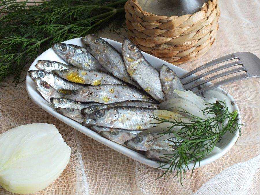 Хамса рыба рецепты засолки