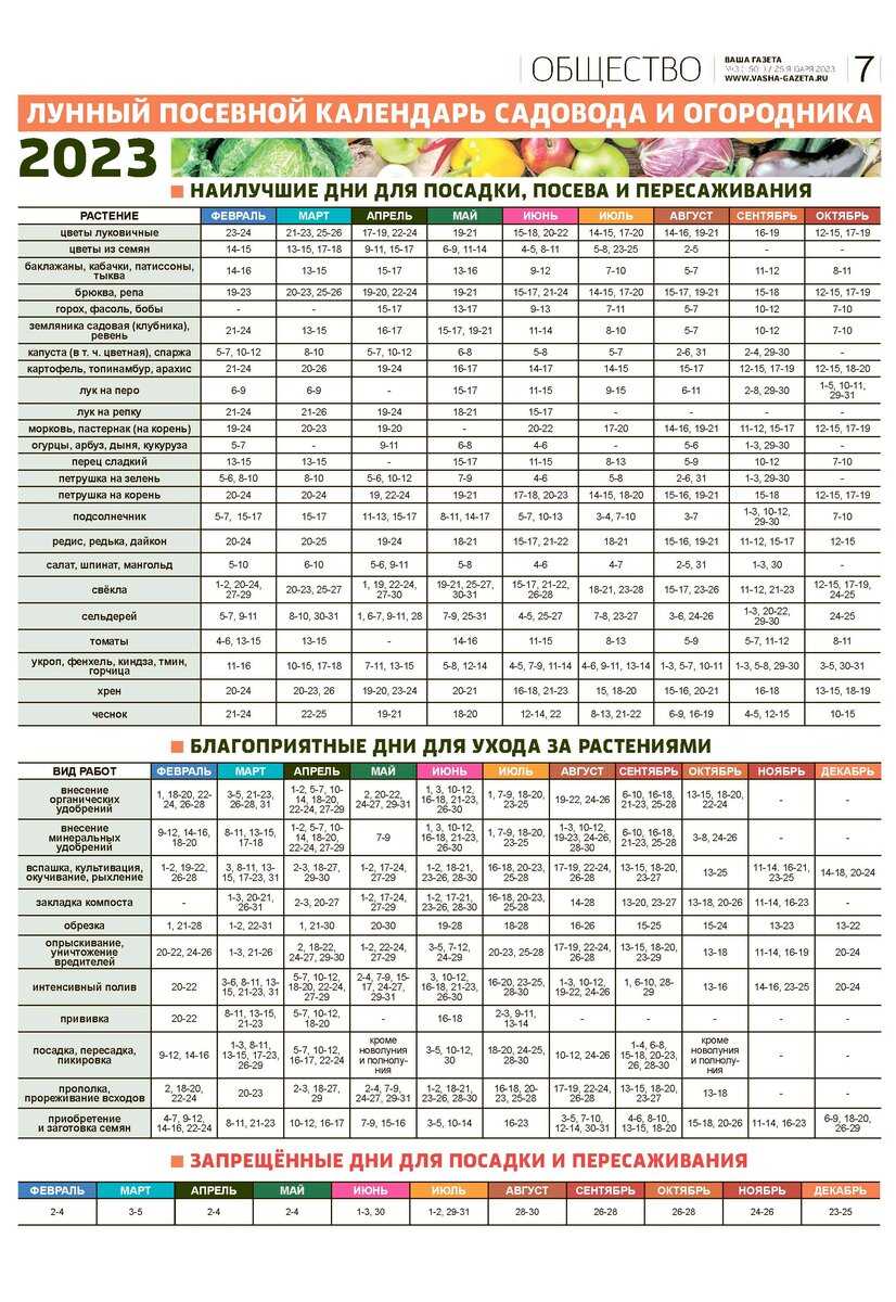 Посевной календарь садовода и огородника на 2019 год с таблицами