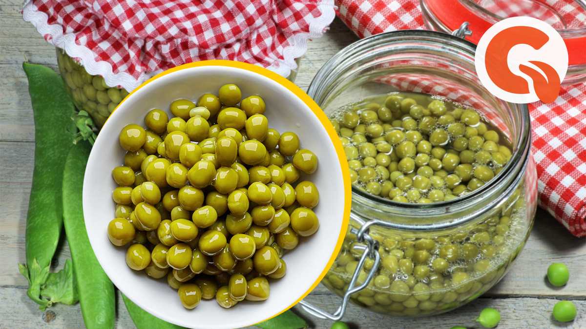 Как заготовить зеленый горошек на зиму в домашних условиях
