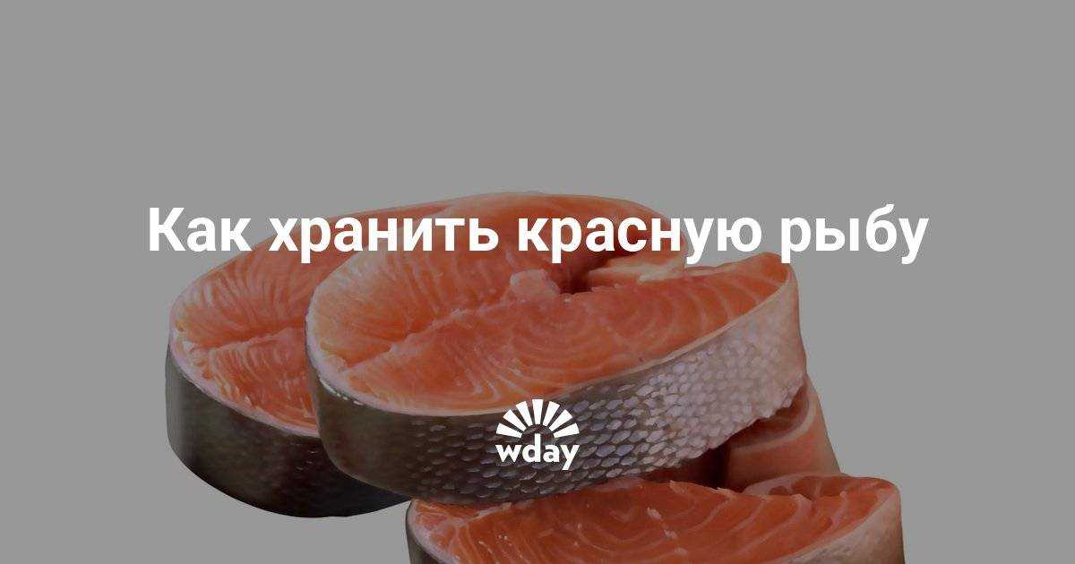 Как хранить красную рыбу. Хранение соленой и слабосоленой рыбы. Как хранить малосольную красную рыбу. Как хранить засоленную красную рыбу.