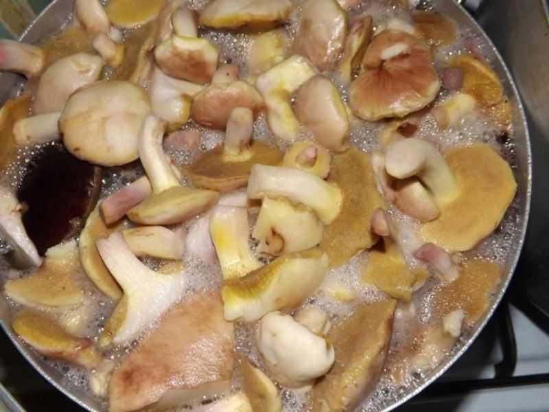 Как мариновать маслята в домашних условиях вкусно и быстро