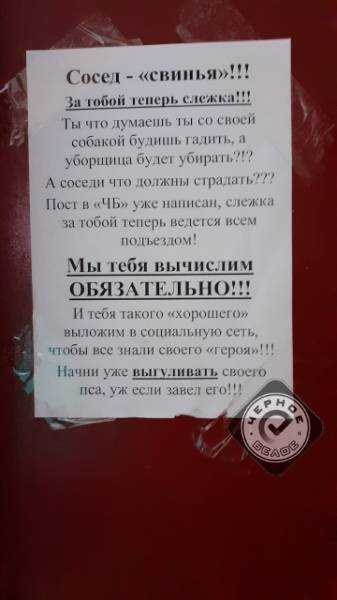 Кошка гадит на грядках. что делать?