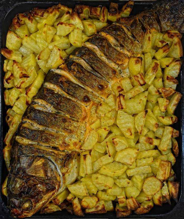 Как вкусно приготовить толстолобика: 5 лучших рецептов