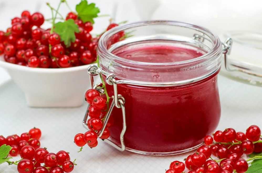 Заготовки из белой смородины на зиму рецепты: без сахара, варенье и желе