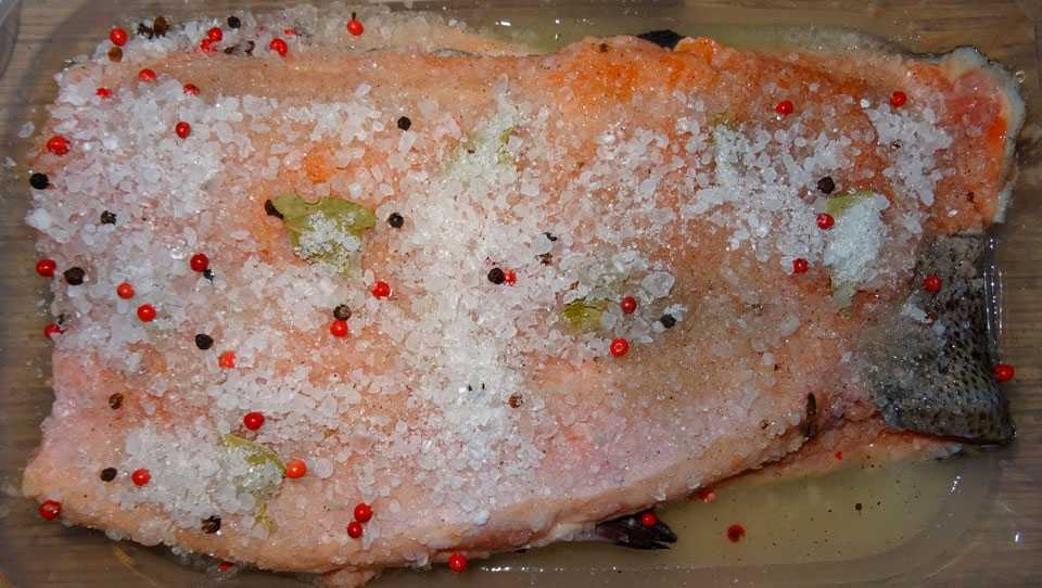 Как засолить форель: в рассоле, сухим способом, с солью и сахаром