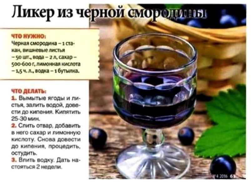 Домашний ликёр из смородины: основные способы приготовления. сортовые особенности сырья для приготовления ликёров из смородины