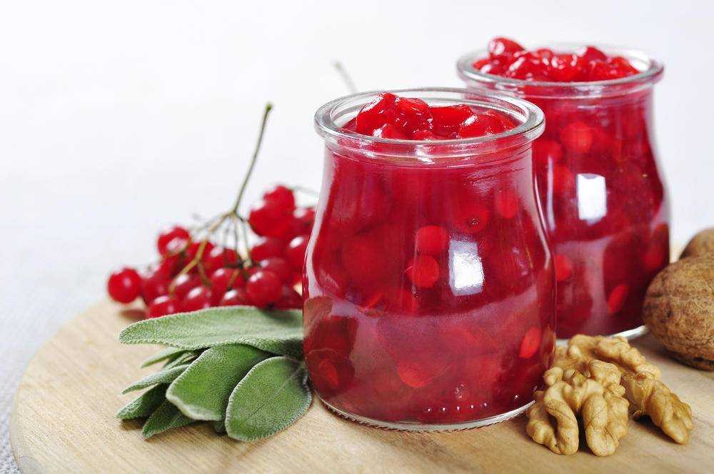 Сироп из калины: рецепты в домашних условиях
