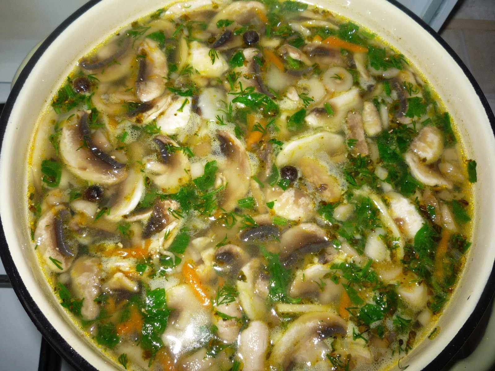Суп с грибами и вермишелью - как приготовить вкусно и быстро? - грибы собираем
