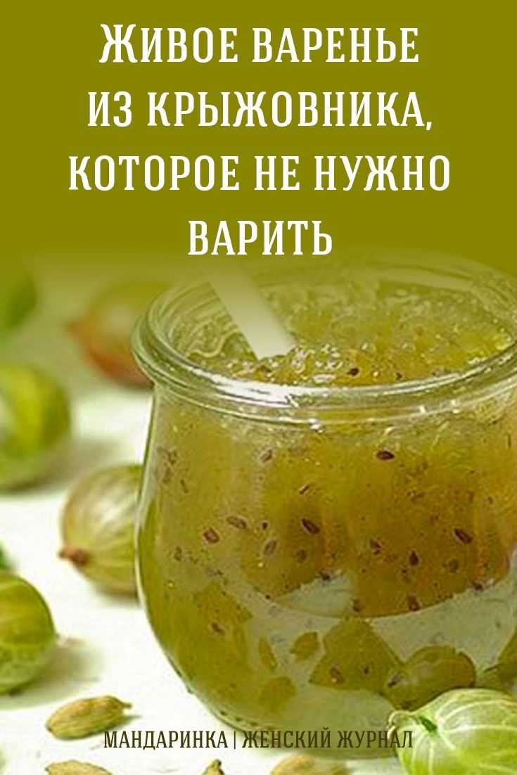 Варенье из крыжовника - простые рецепты приготовления крыжовникового варенья на зиму