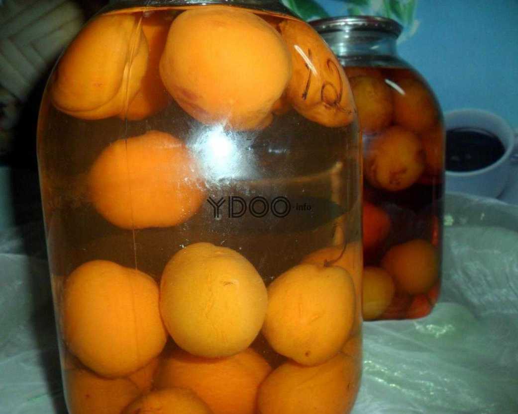 Абрикосовый компот — вкусный и полезный напиток, рецепты на зиму в банках