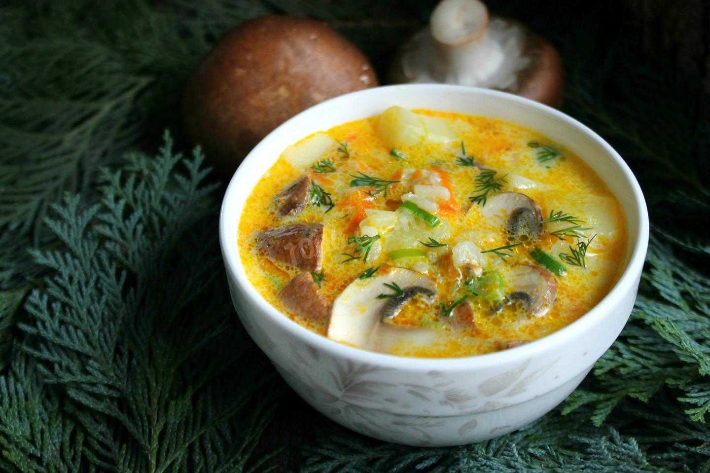 Откройте для себя вкуснейший суп с креветками и сыром