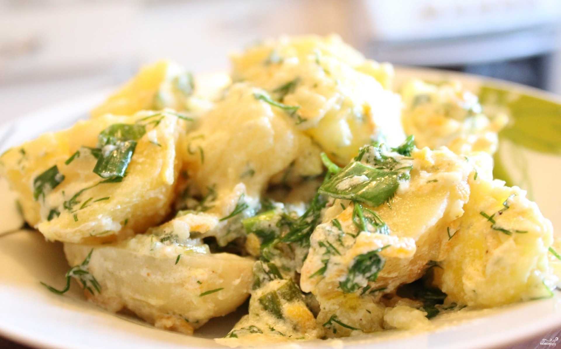 Картофельная запеканка с грибами в духовке — 5 рецептов вкусной запеканки