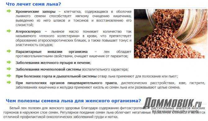 Как правильно употреблять семена льна - 10 проверенных способов.