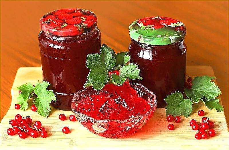 Что приготовить из смородины красной на зиму: рецепт приготовления