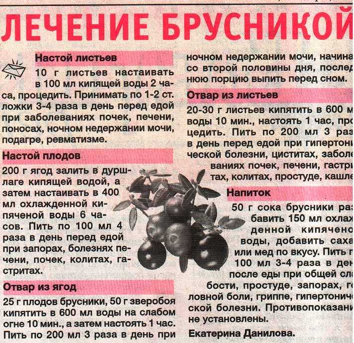 9 вкусных и полезных рецептов морса из клюквы