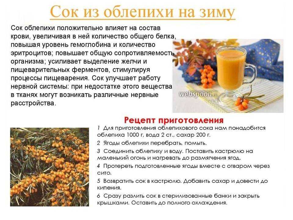 Облепиха на зиму: рецепты приготовления без варки