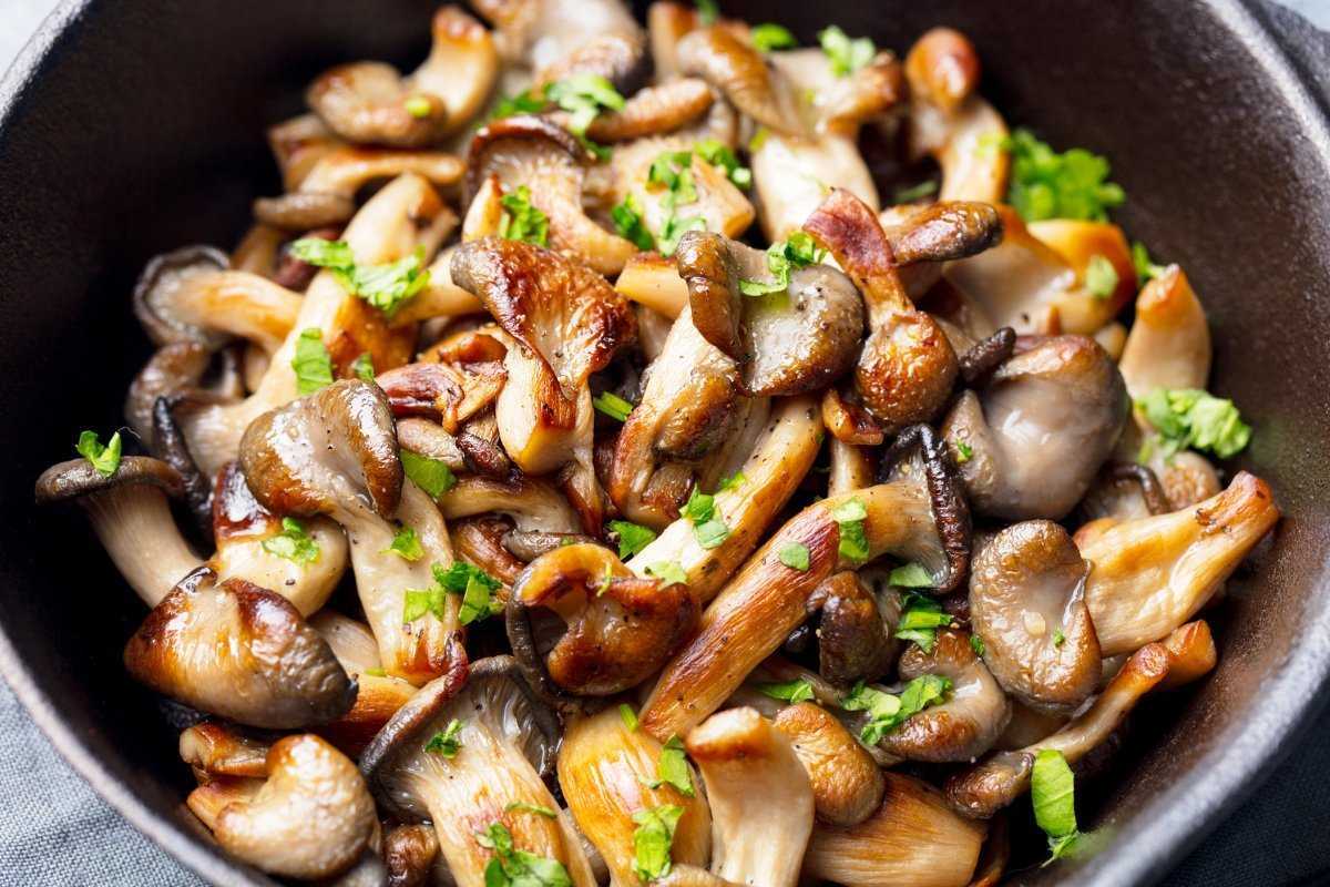 Рецепт приготовления курицы с грибами. Грибы шиитаке жареные. Вешенки шиитаке. Шампиньоны и вешенки. Грибы Еринги.