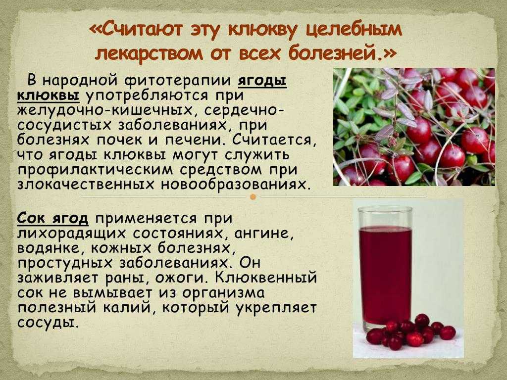 Морс из клюквы замороженной как приготовить правильно – секреты