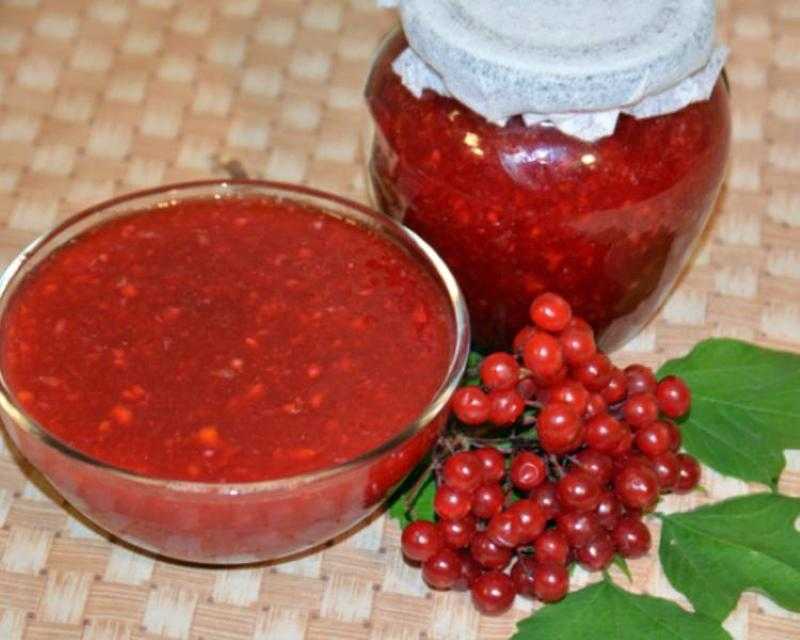 Самые вкусные заготовки из калины на зиму — рецепты приготовления