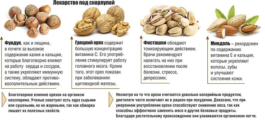 Лучшие способы сушки орехов лещины: как сохранить вкус и полезные свойства на даче