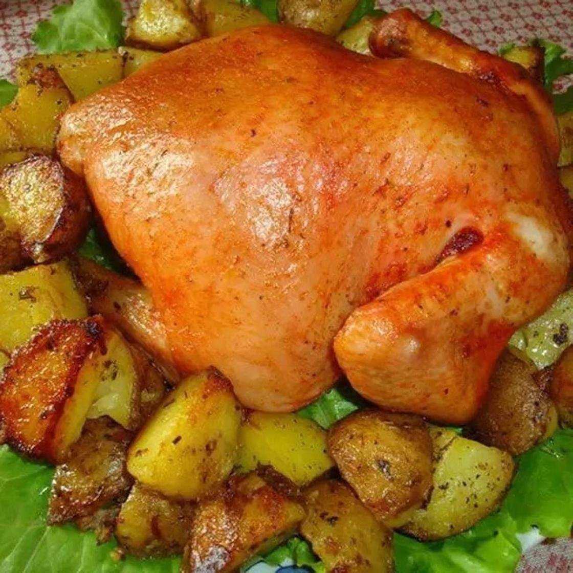 Курица в духовке: самые вкусные и простые рецепты из курицы