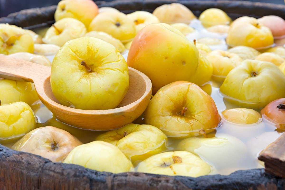 Лучшие рецепты заготовок моченых яблок на зиму: топ-10 самых вкусных способов приготовления маринованных фруктов