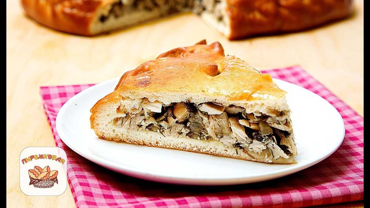 Открытые пироги с грибами: фото и рецепты пирогов с курицей, грибами, и другими начинками