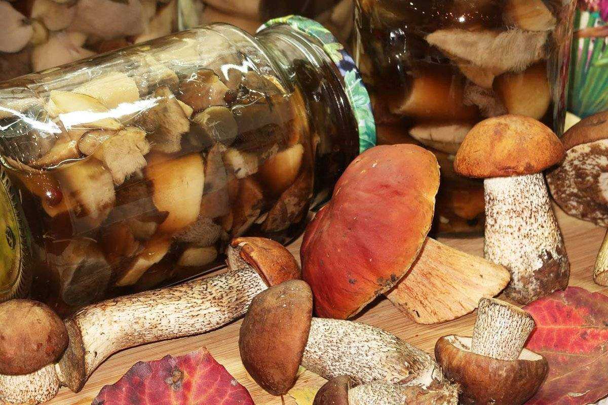 Маринованные грибы на зиму — 12 простых рецептов в банках