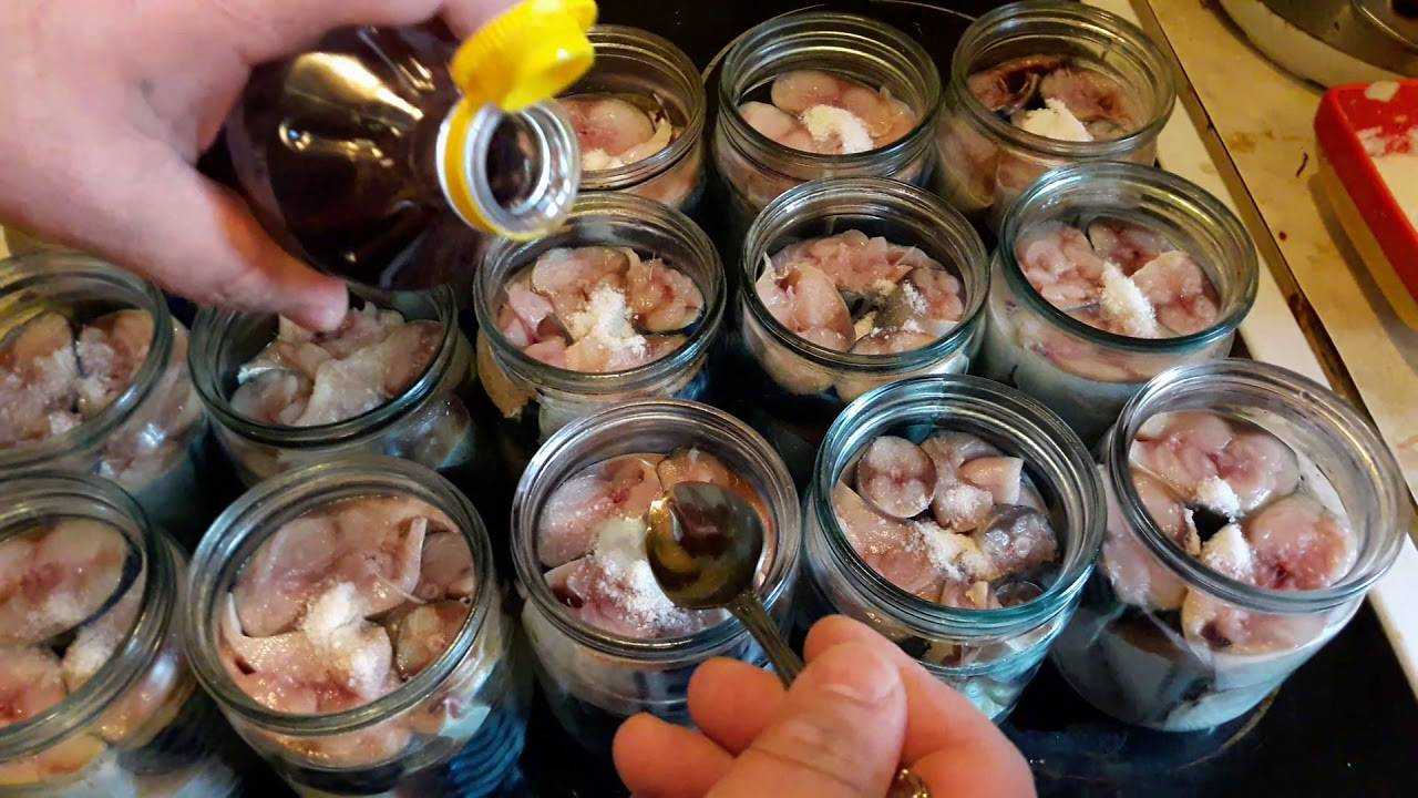 Рыбные консервы в автоклаве: рецепты в домашних условиях, как сделать из рыбы