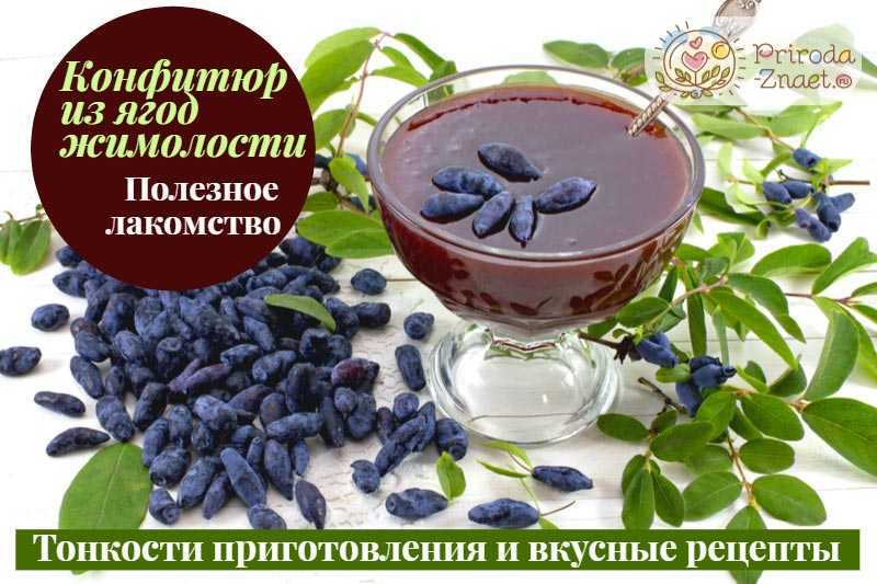 Компот из жимолости на зиму без стерилизации и на каждый день