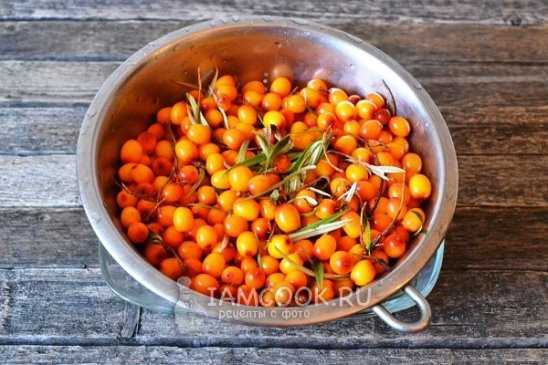Сок из облепихи на зиму – секрет вкуса и хранения, рецепты +фото