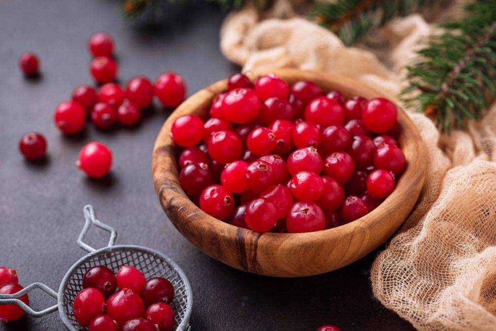 Заготовки из клюквы на зиму —  11 самых вкусных и простых рецептов